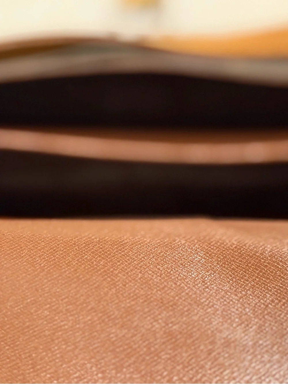 Louis Vuitton timeless vintage